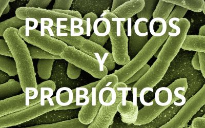 Prebióticos y probióticos